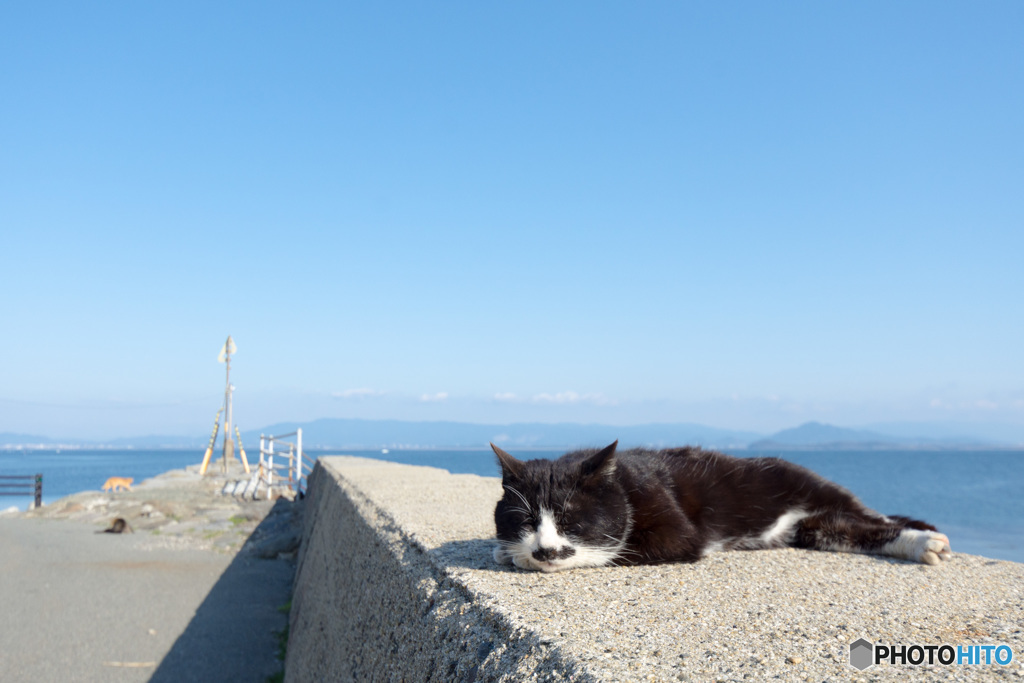 チャプくん