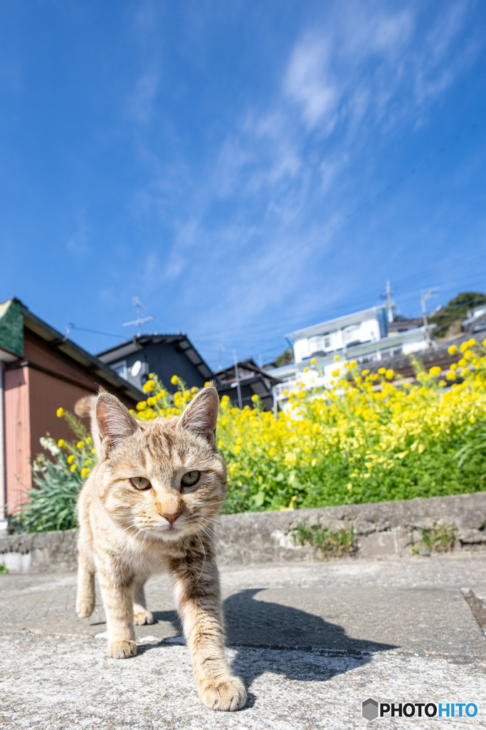 春うにゃにゃ