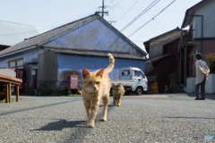 見守りパトロール