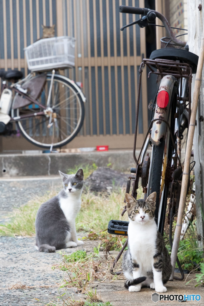 漁師さんのお家の前で