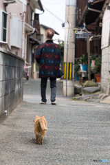 おともさせてくださいニャ（2）
