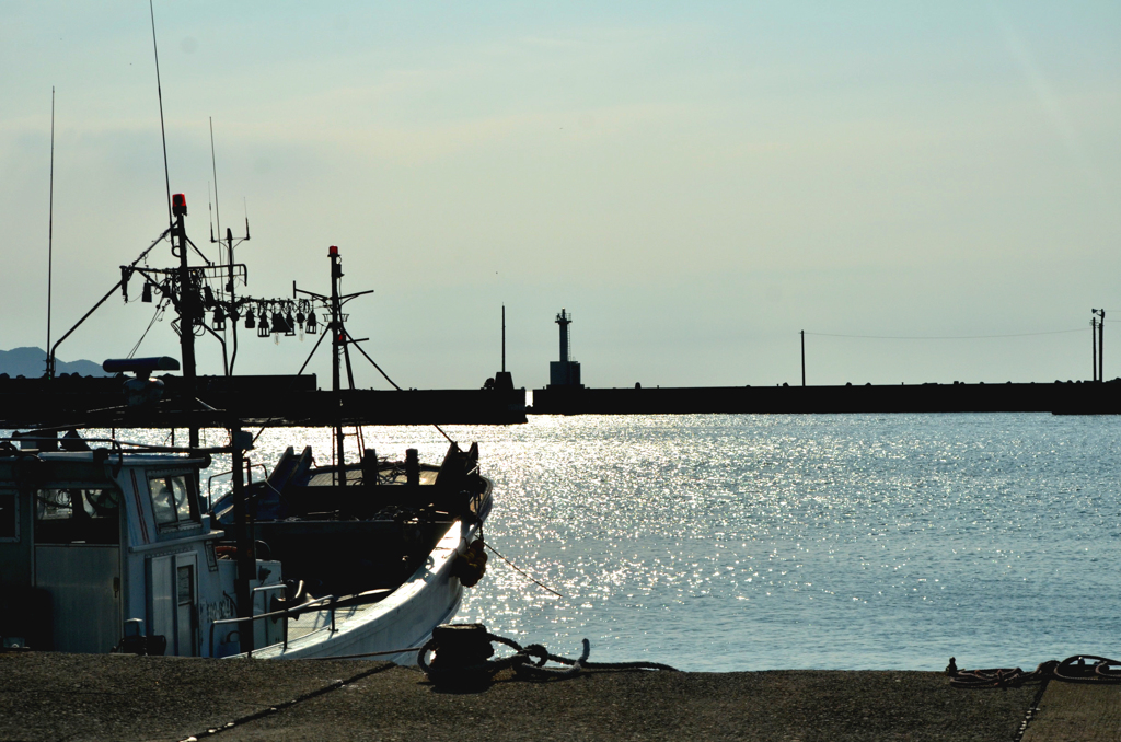 DSC_1350