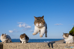 副隊長さん、冬空を飛ぶ！