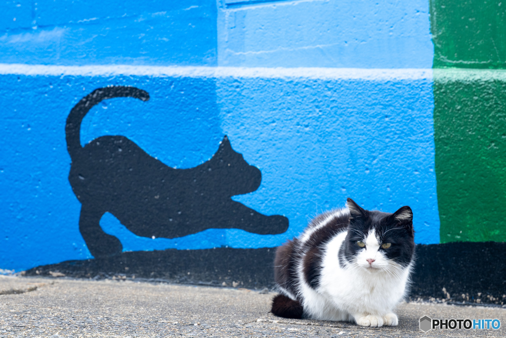 クロちゃんとはっちゃん