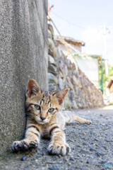 う・・・・・