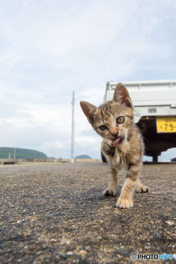 てへへ