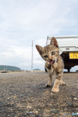 てへへ