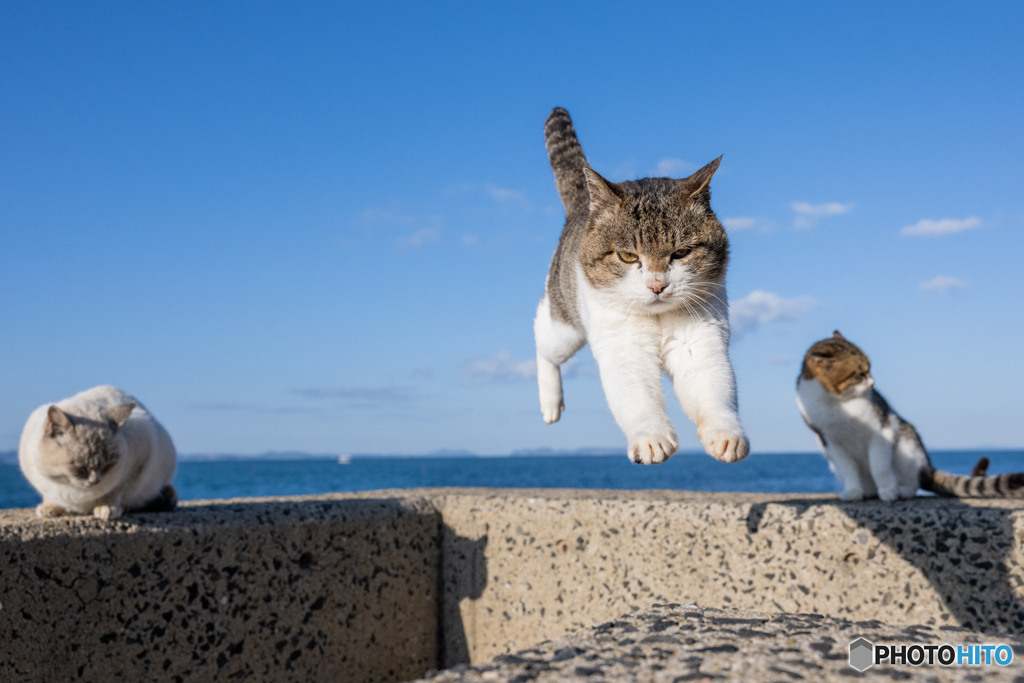 ビュワ～～ン