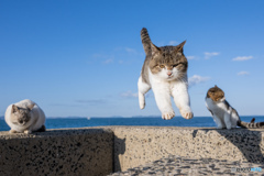 ビュワ～～ン