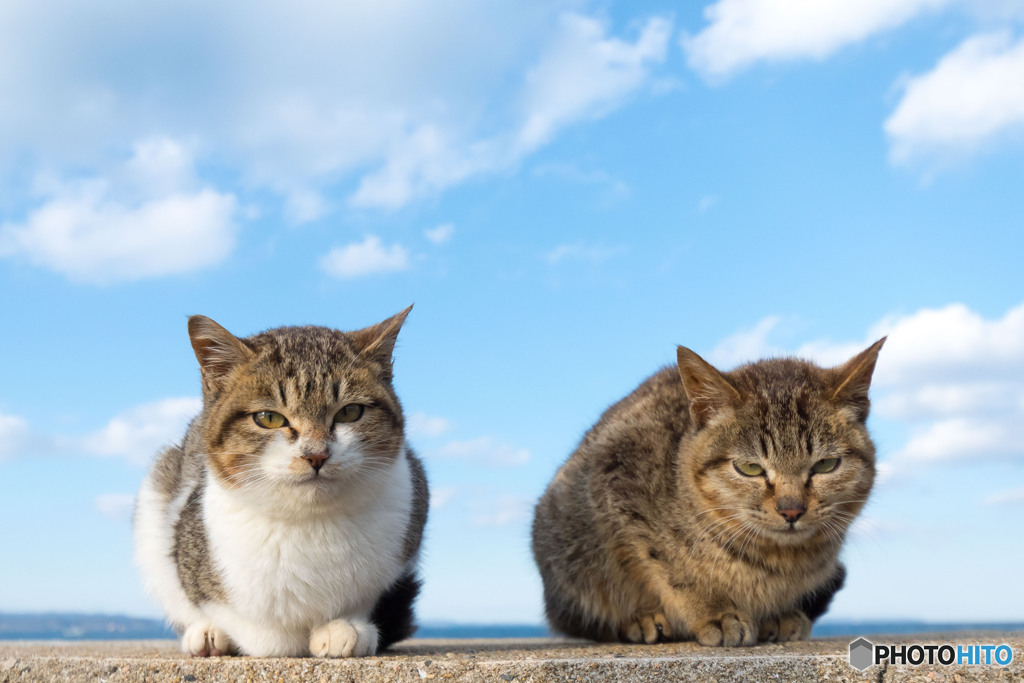 おふたり