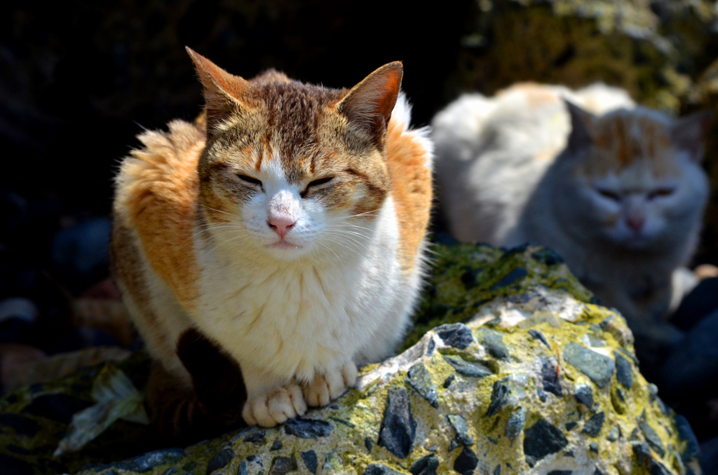 まぶすぃぃ～～～