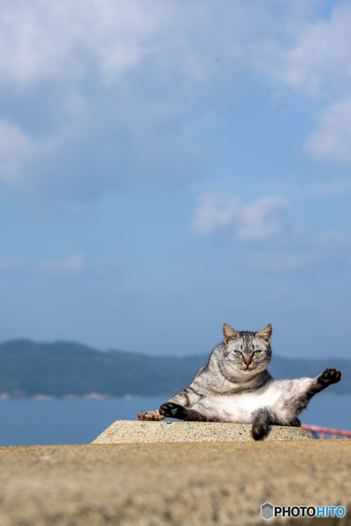 やっぱり足ピーン