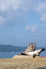 やっぱり足ピーン