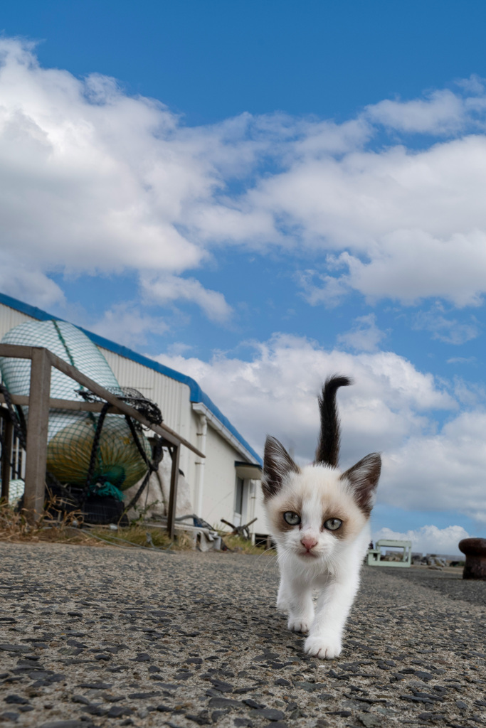 小さな一歩