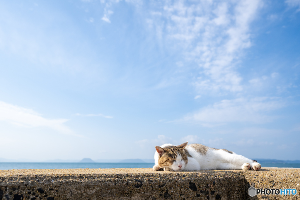 秋の日。いい心地。