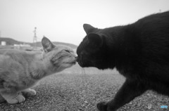 道で会ったら、挨拶をしよう