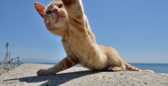 とーうっ！！！！