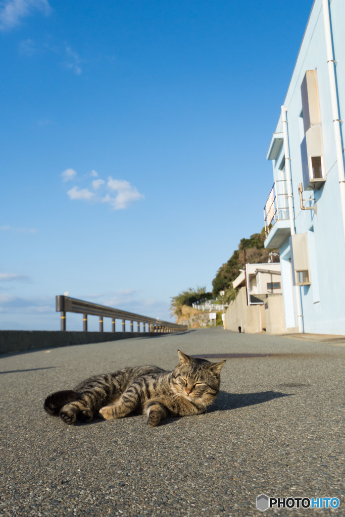 気が引き締まらない。でもいいよね。