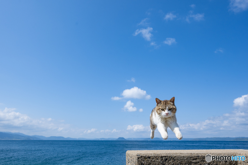 それっ