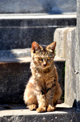 誰かを待っている