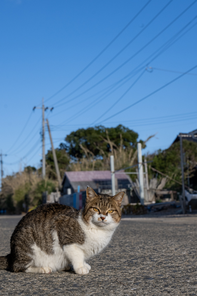 おにゃ