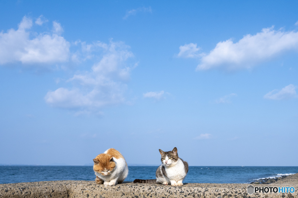 清々しい朝