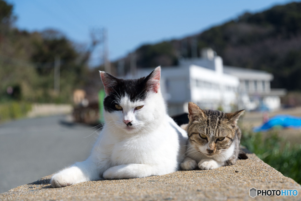 仲良しさん