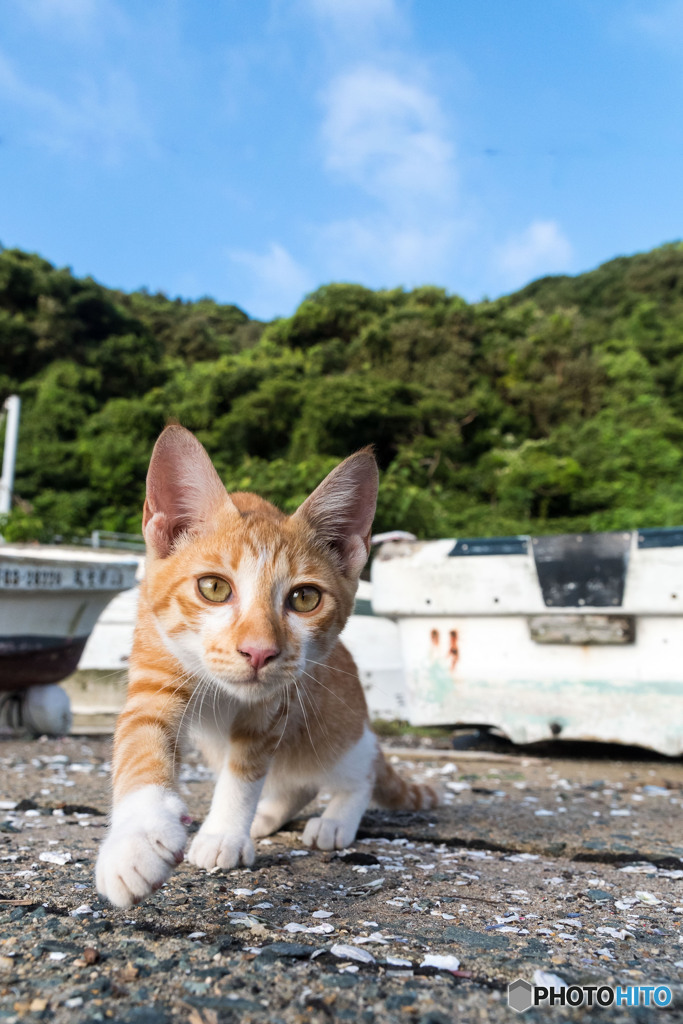 お散歩に行こう