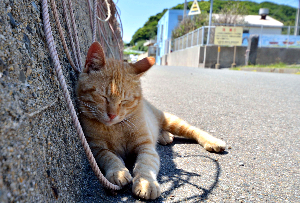 うううう・・・眠い・・・