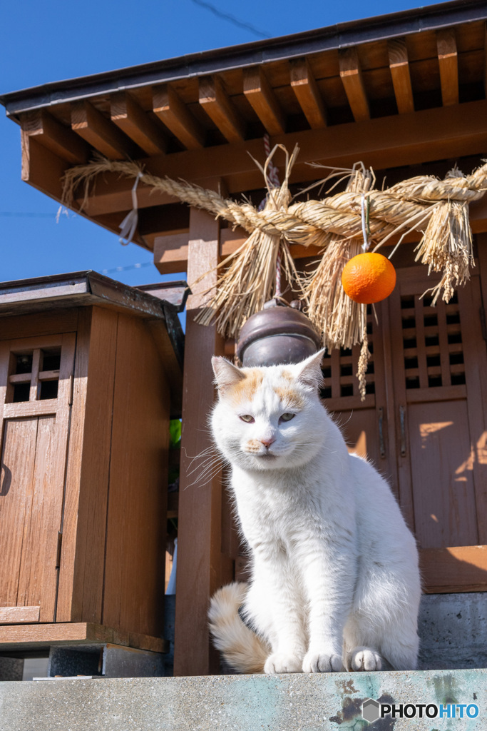 神の使い