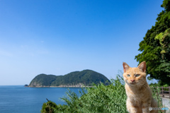 チャイロくん。ひょうたん島を背景に。