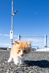 さあ、行こう！