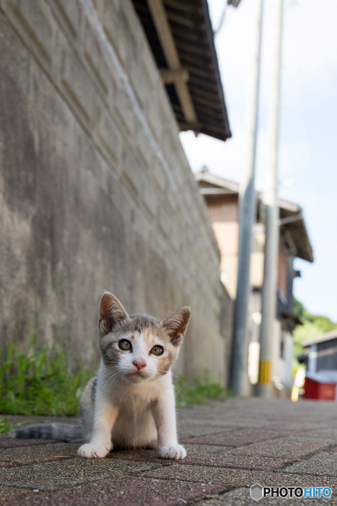 ミーちゃん、ありがとね