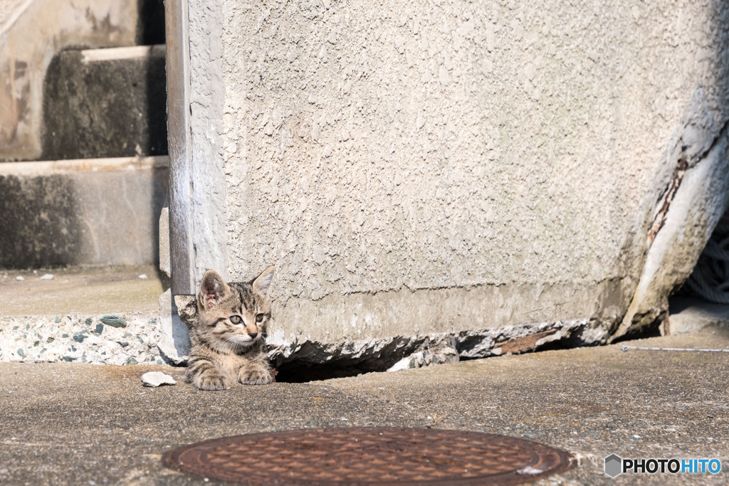 かくれんぼという遊びは一人ではできないのね