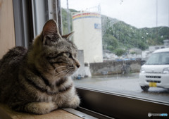 外は雨