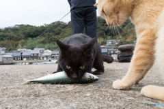 それいいな～～