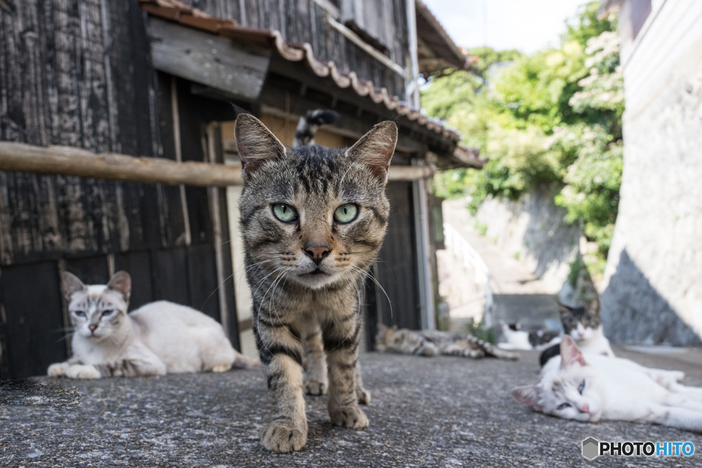ずいっとね