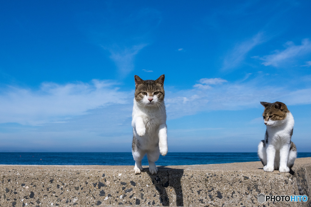 ひらりとね。9月の空。（3）