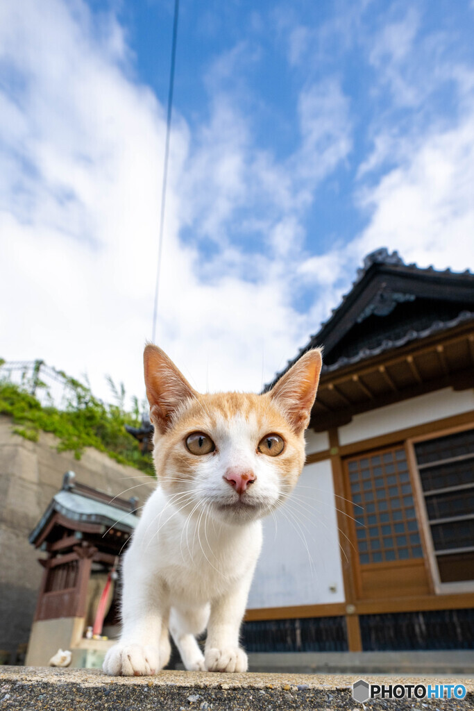 お寺でおにゃにゃ