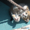 かわい子ちゃん