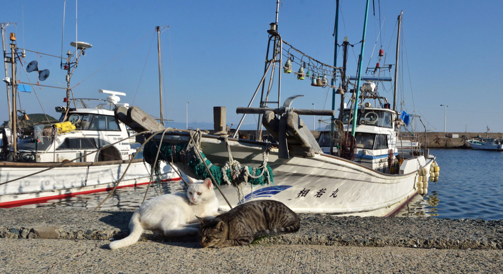 気になることがあるみたいですね