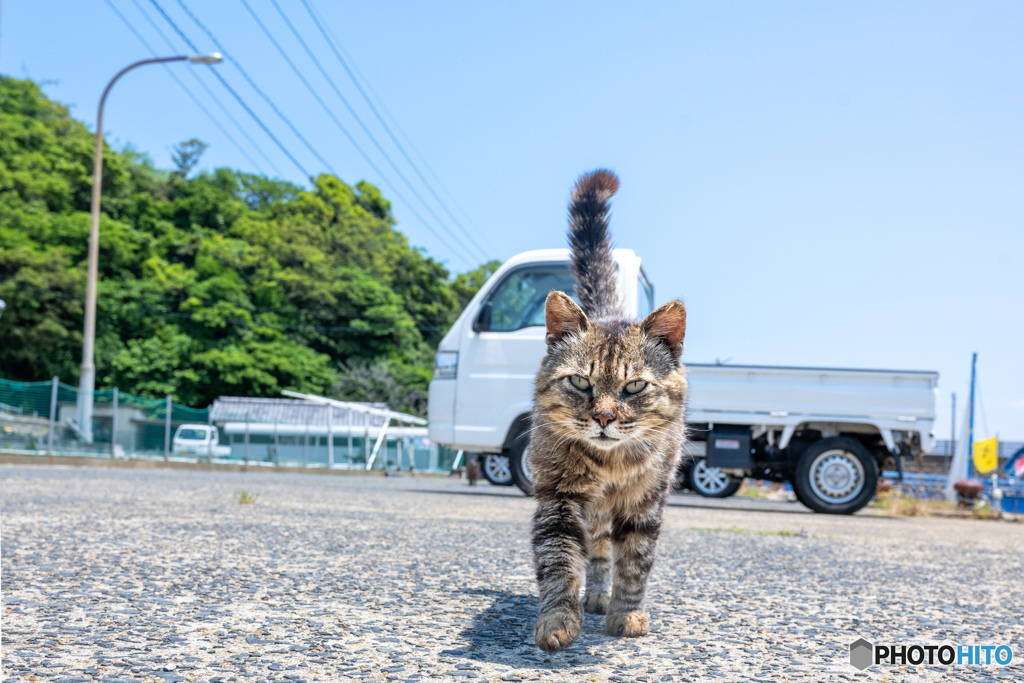 えっほえっほ