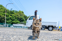 えっほえっほ