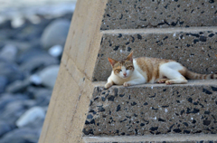 わたしお母さんなんですよ