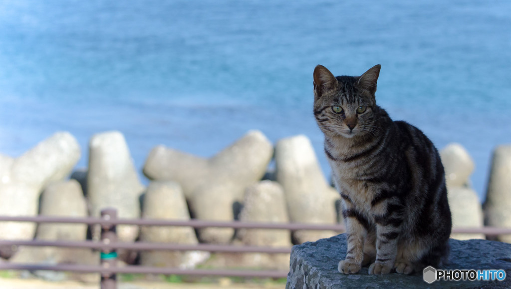海はブルー。心もブルー。
