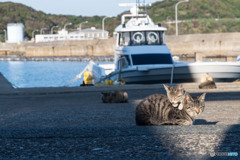 日溜まりで