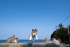 よいしょっとね