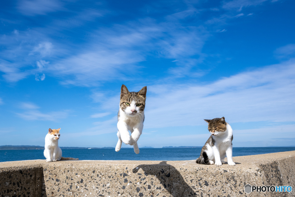 風に乗って行こ～