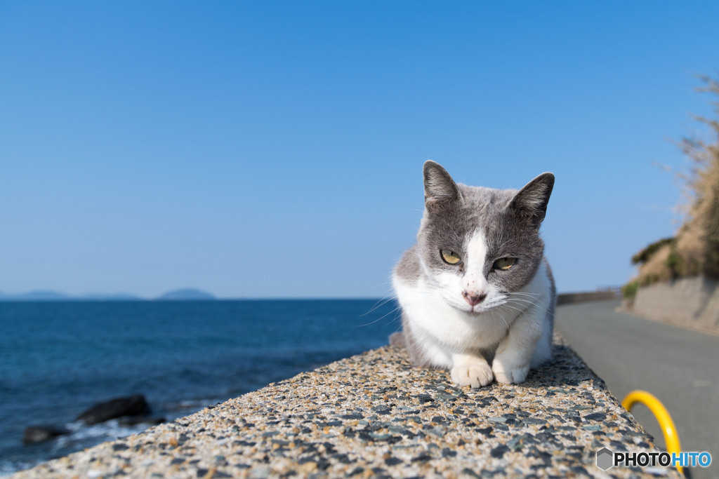 おはようのご挨拶