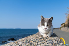 おはようのご挨拶